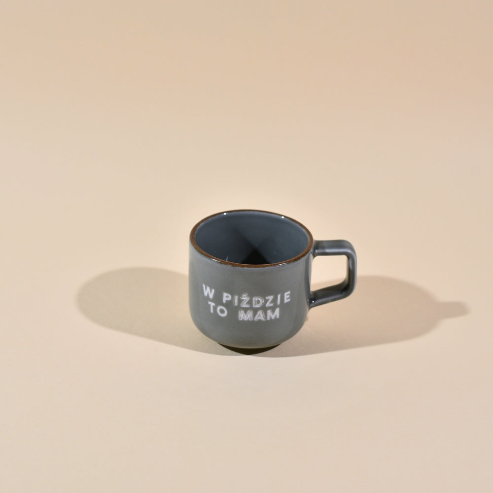 W piździe to mam - Szary (Espresso)